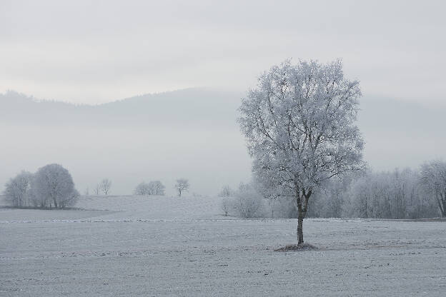 Winterlandschaft