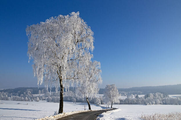 Weiß-Blau