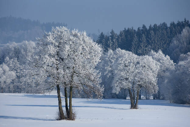Winterlandschaft