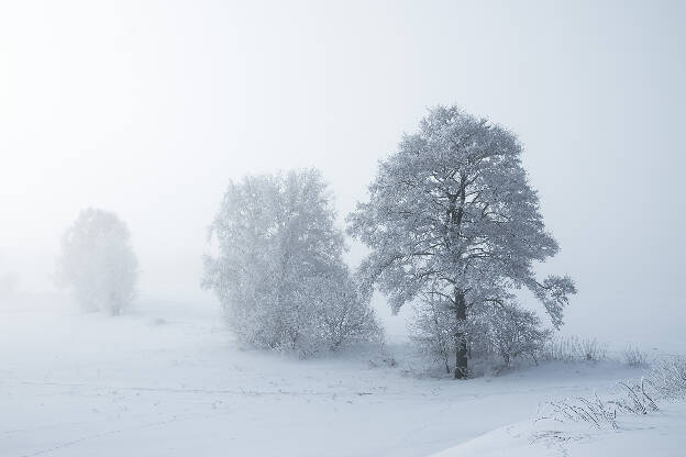 Die Welt im Nebel