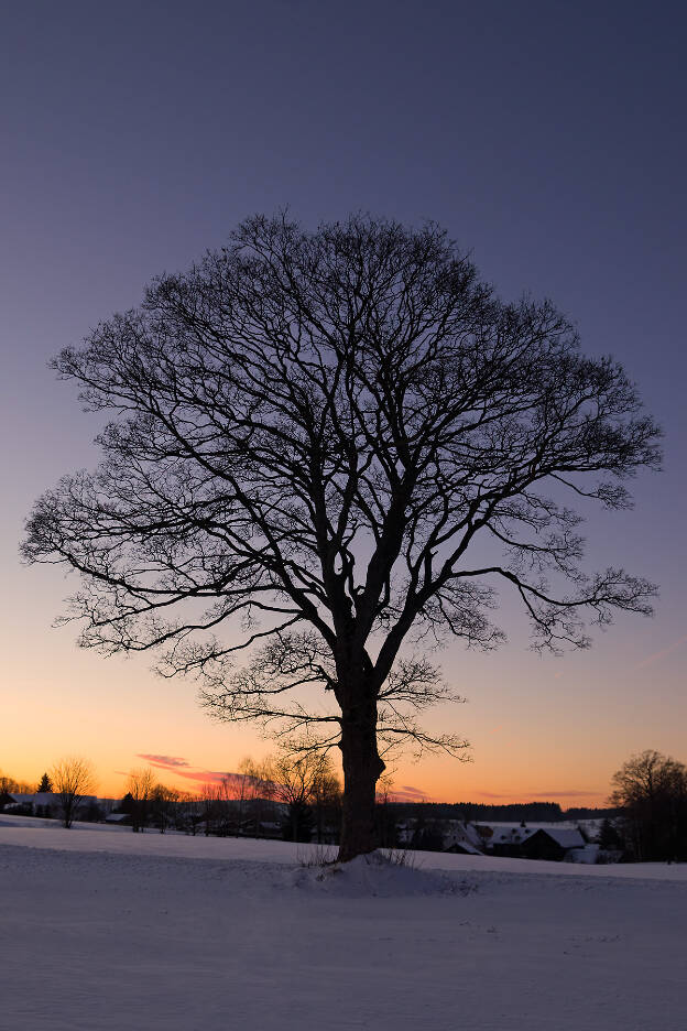 Winterabend